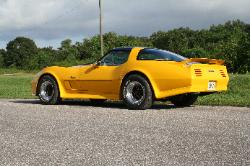 1980 Greenwood Corvette stripped, repaired and custom painted