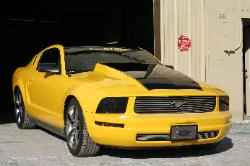 Mustang Cervini hood